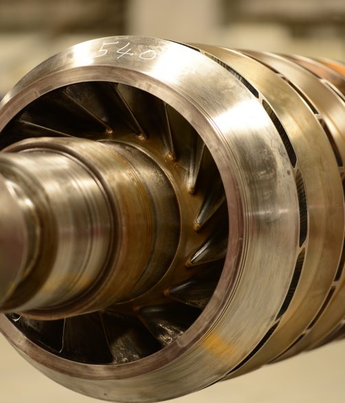 shutterstock_673903741